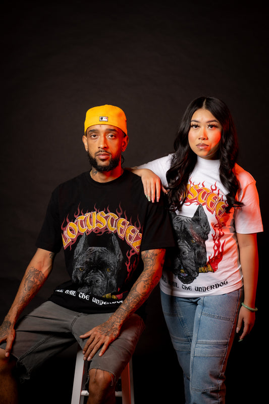 all hail the underdog tee