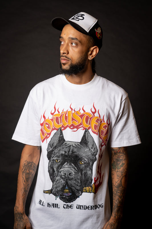 all hail the underdog tee